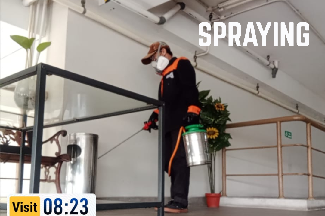 Spraying pest control untuk pengendalian hama