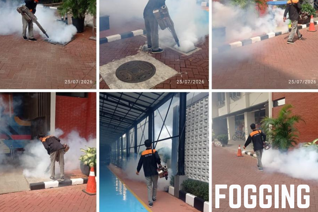 Fogging pest control untuk mengendalikan hama terbang