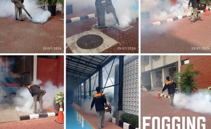 Fogging pest control untuk mengendalikan hama terbang