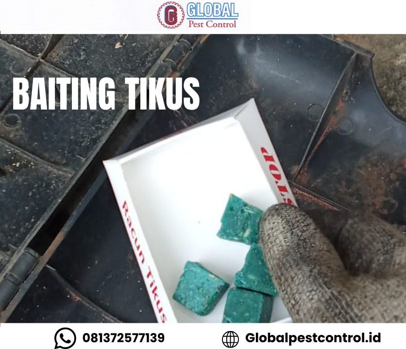 Baiting tikus menggunakan umpan pada bait station