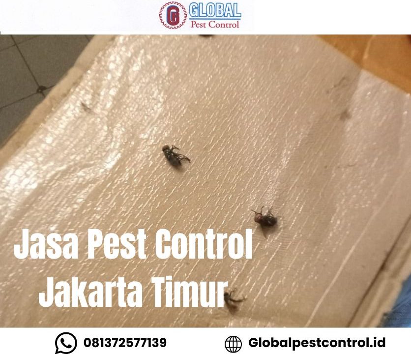 jasa pest control Jakarta Timur untuk pengendalian hama